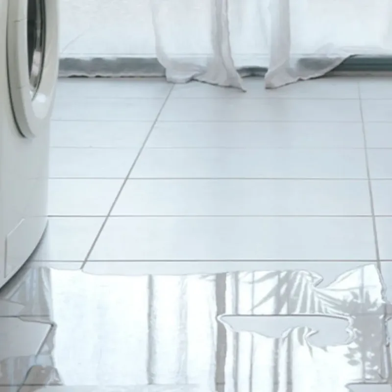 Appliance Leak Cleanup in Brewster, WA